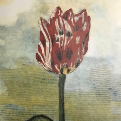 Black Dahlia Vase